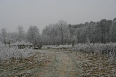This is picture 1