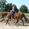 Robbie in galop