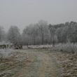 in de winter