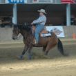 2010, aqha marienheem