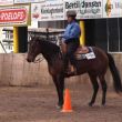 horsemanship, wran L3